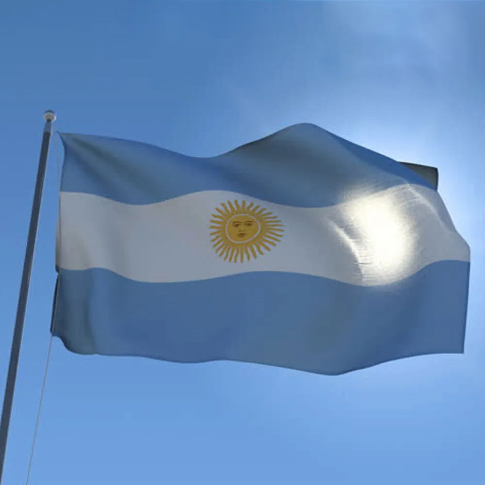 Argentina Flag - Afterschool Fun