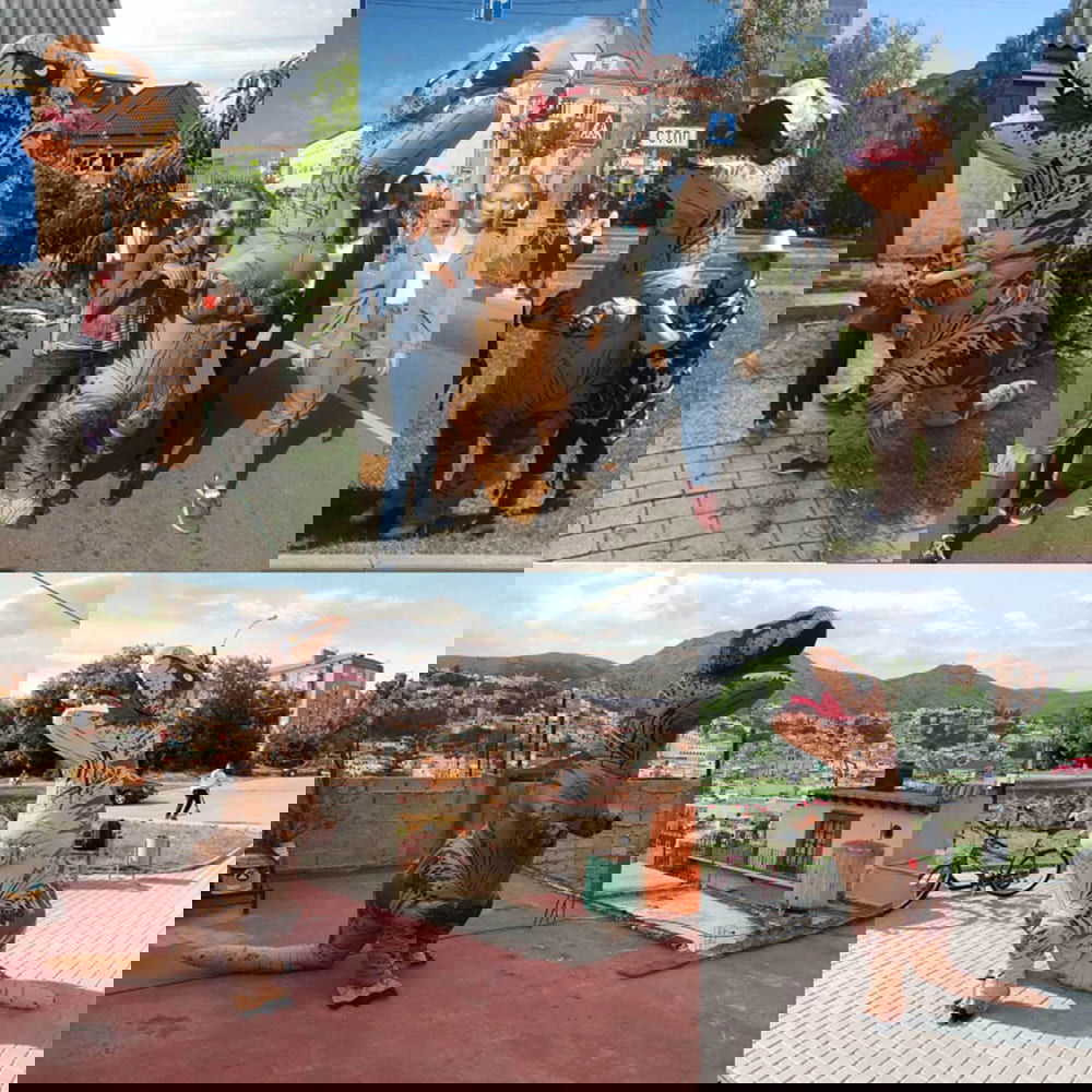 Inflatable Dinosaur Costume - Afterschool Fun