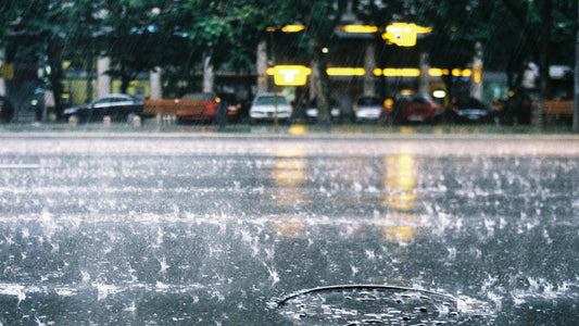 Emergency Rain Solutions - Stay Dry on the Go