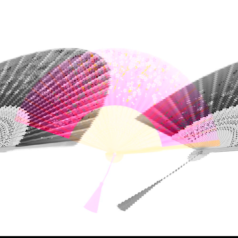 Chinese Folding Fan - Afterschool Fun