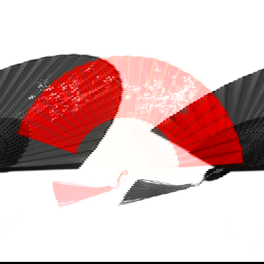 Chinese Folding Fan - Afterschool Fun