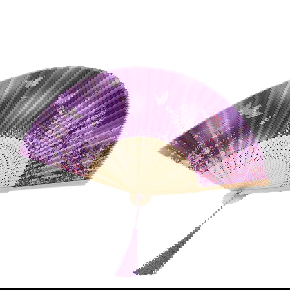 Chinese Folding Fan - Afterschool Fun