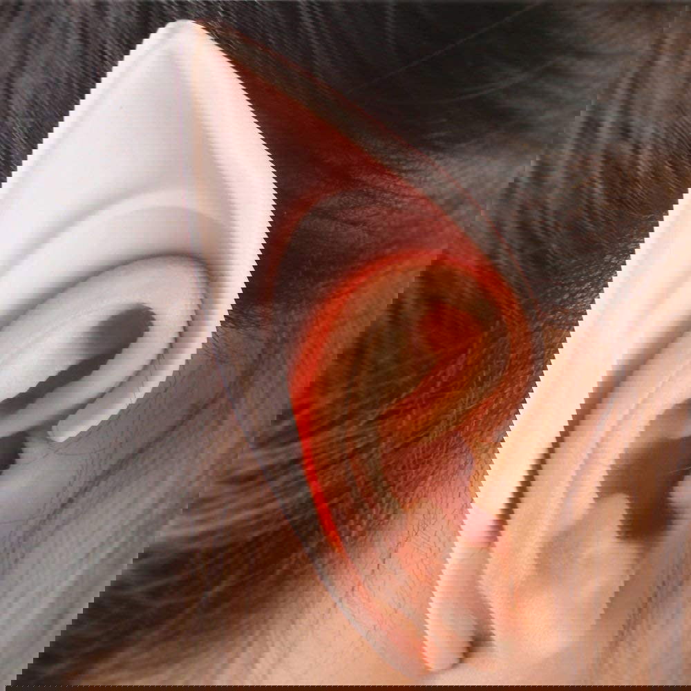 Elf Ears - Afterschool Fun