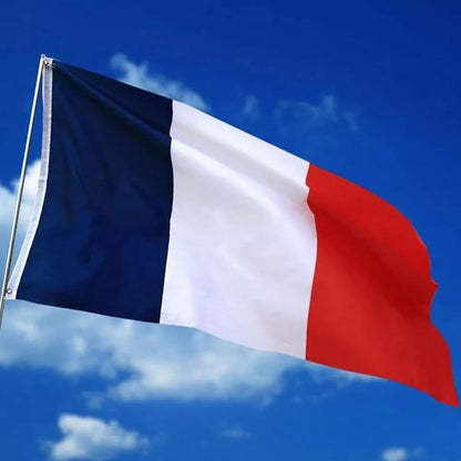 French Flag - Afterschool Fun
