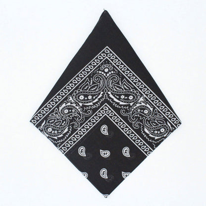 Paisley Bandana - Afterschool Fun