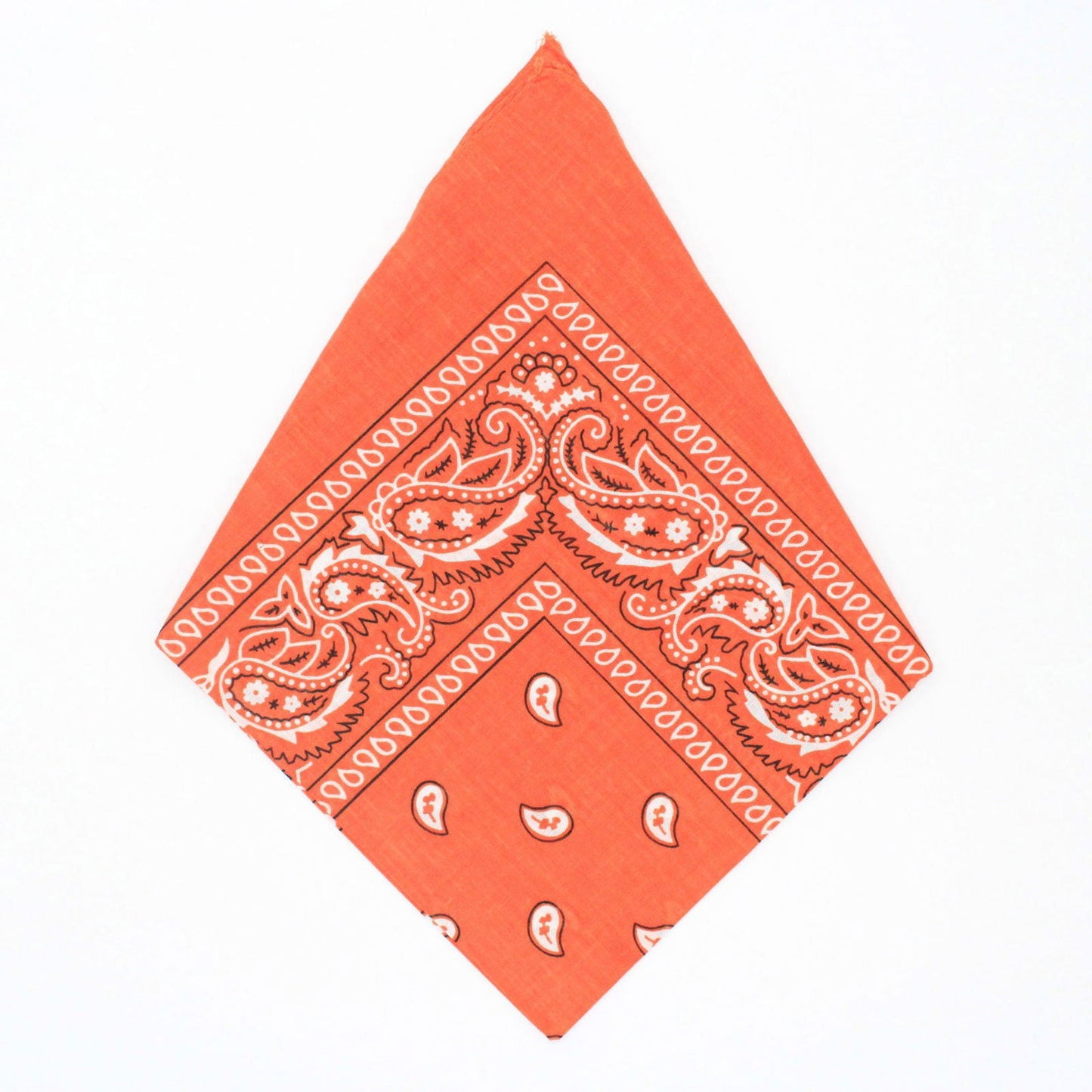Paisley Bandana - Afterschool Fun