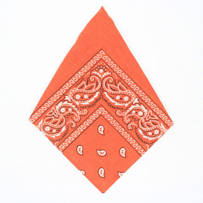 Paisley Bandana - Afterschool Fun