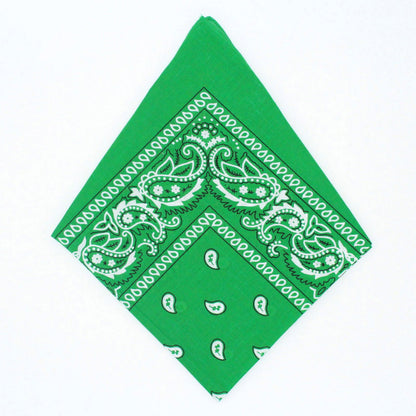 Paisley Bandana - Afterschool Fun