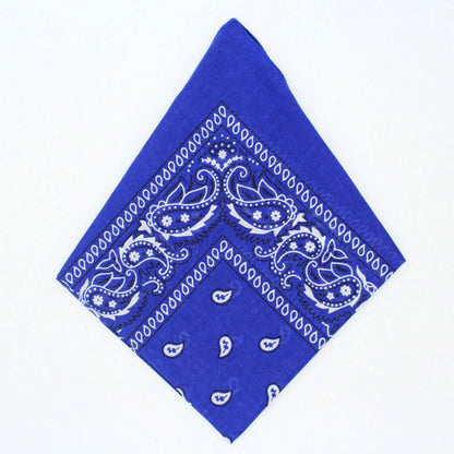 Paisley Bandana - Afterschool Fun