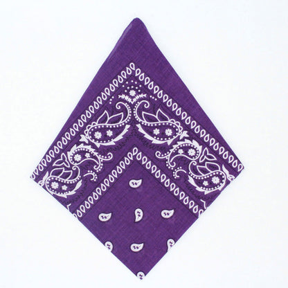 Paisley Bandana - Afterschool Fun