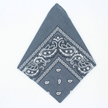 Paisley Bandana - Afterschool Fun