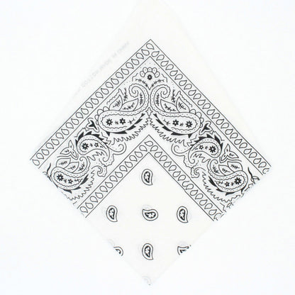 Paisley Bandana - Afterschool Fun