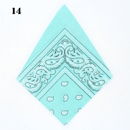 Paisley Bandana - Afterschool Fun