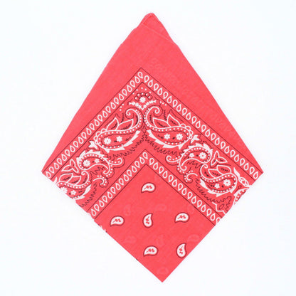 Paisley Bandana - Afterschool Fun