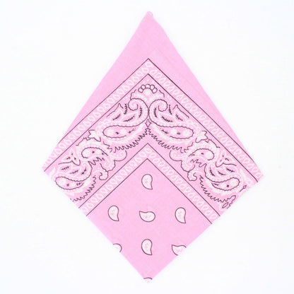 Paisley Bandana - Afterschool Fun