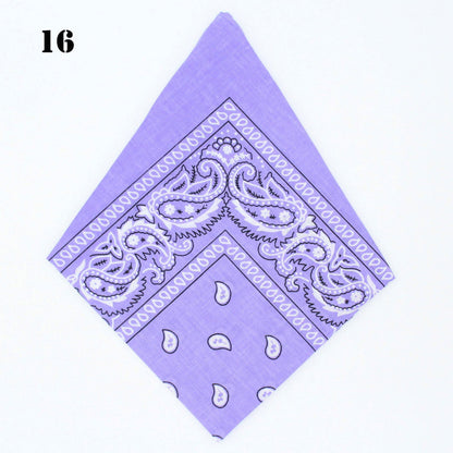 Paisley Bandana - Afterschool Fun