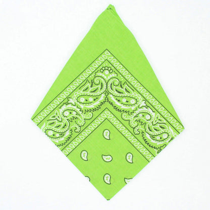 Paisley Bandana - Afterschool Fun