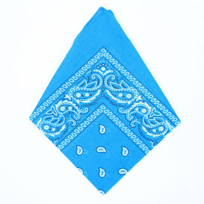Paisley Bandana - Afterschool Fun
