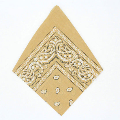 Paisley Bandana - Afterschool Fun
