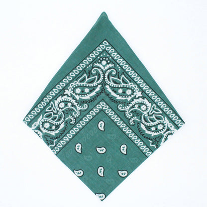 Paisley Bandana - Afterschool Fun