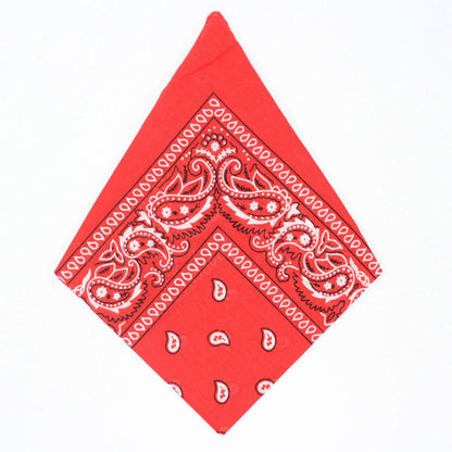 Paisley Bandana - Afterschool Fun