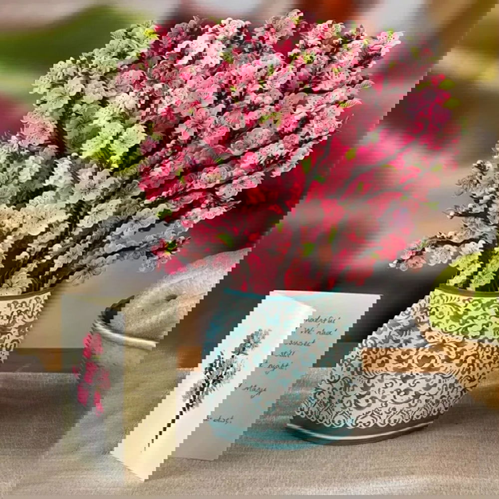 Pop Up Flower Card - Afterschool Fun