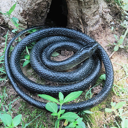 Rubber Snake - Afterschool Fun